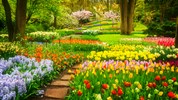 Květinový park Keukenhof a procházka Amsterdamem