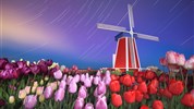 Květinový park Keukenhof a procházka Amsterdamem