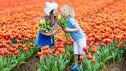 Květinový park Keukenhof a procházka Amsterdamem