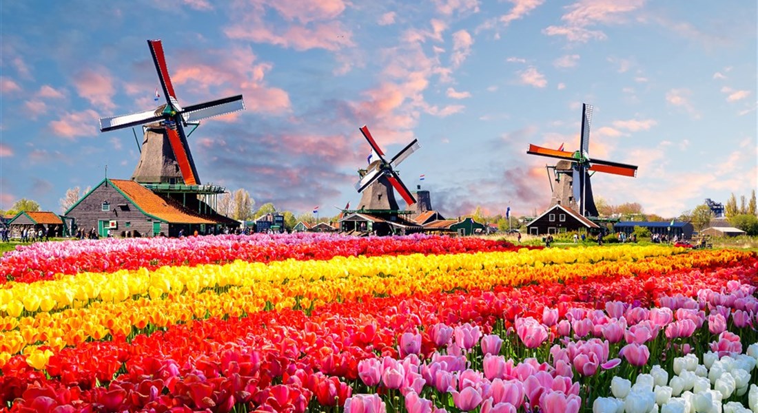 Květinový park Keukenhof a procházka Amsterdamem