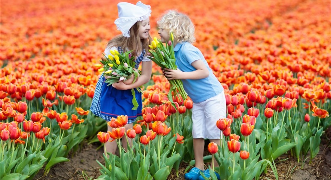 Keukenhof na otočku