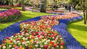 Květinový park Keukenhof a procházka Amsterdamem