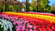 Keukenhof na otočku
