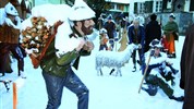 Wolfgangsee Advent