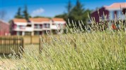 Apartments Katoro Plava Laguna