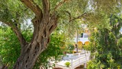 Paradise Hotel
