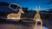 Innsbruck a Swarovski – zájezd plný třpytu a alpské krásy