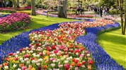 Amsterdam a Květinový park Keukenhof