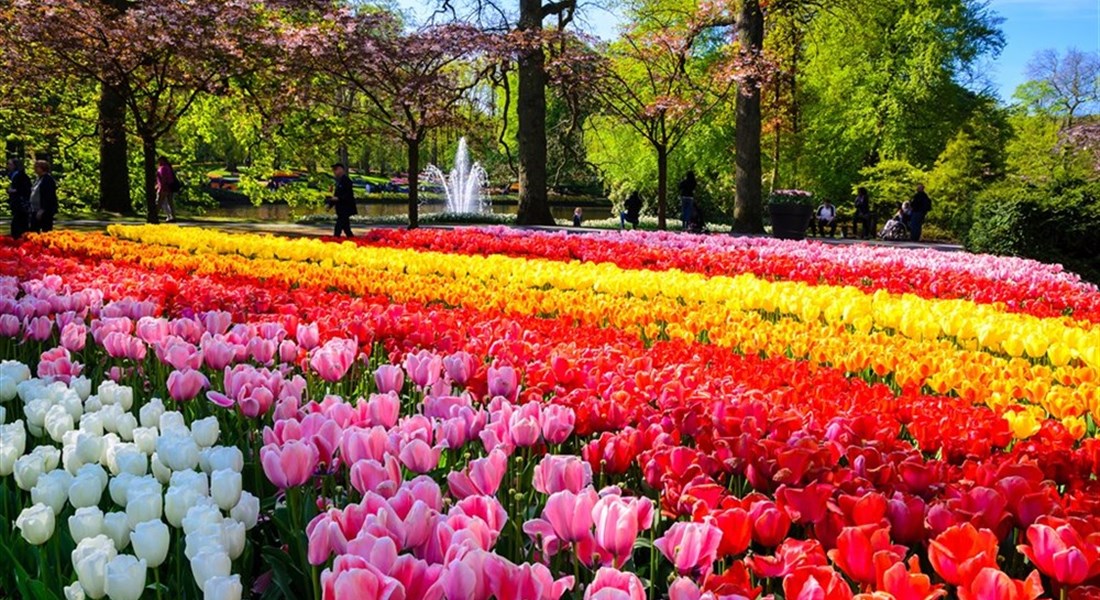 Amsterdam a Květinový park Keukenhof