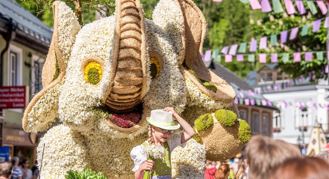 Hallstatt s výstavou narcisů
