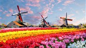 Amsterdam, Keukenhof, Květinový průvod a Holandské Benátky