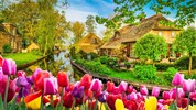 Amsterdam, pohádkový Giethoorn a rozkvetlý Keukenhof