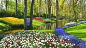 Amsterdam, pohádkový Giethoorn a rozkvetlý Keukenhof