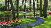 Amsterdam, pohádkový Giethoorn a rozkvetlý Keukenhof