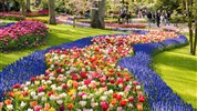 Amsterdam, pohádkový Giethoorn a rozkvetlý Keukenhof