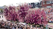 Corso Zundert – festival květinových alegorických vozů