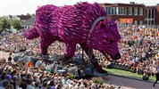 Corso Zundert – festival květinových alegorických vozů