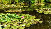 Paříž, Versailles a Monetovy zahrady