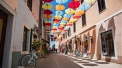 Jednodenní koupání Novigrad