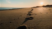 Mystery víkend u moře – Nechte destinaci osudu