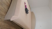 Apartmány Tamaris