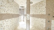 Hotel Alpine Mugon